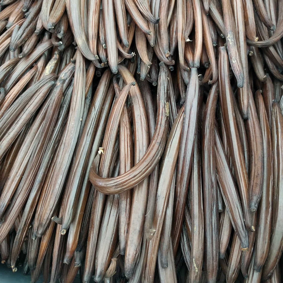 A lot of whole cured vanilla beans