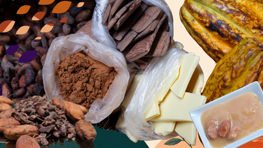 How One Cacao Fruit Becomes an Entire Portfolio of Premium Ingredients