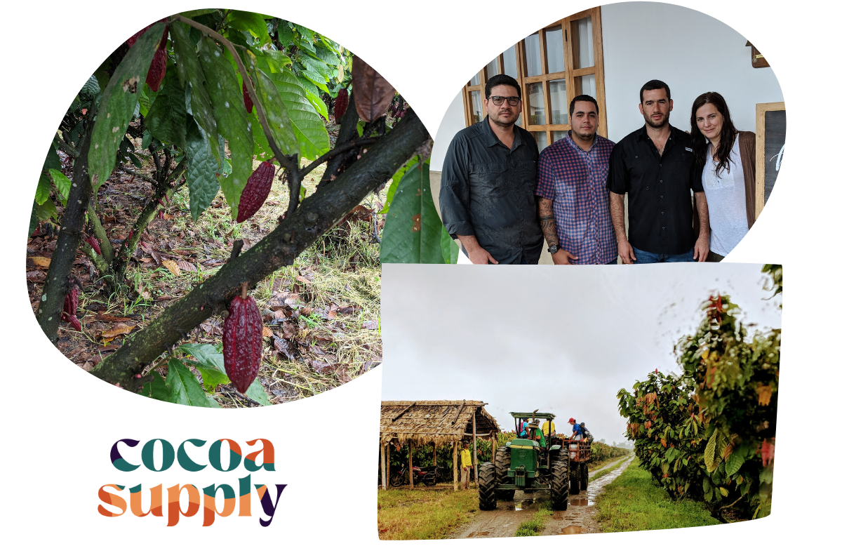 Hacienda San Jose Raw Cacao Beans - Ecuadorian Single Plantation
