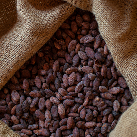 Hacienda Macondo - Raw Cacao Beans - Ecuadorian Cacao Single Estate