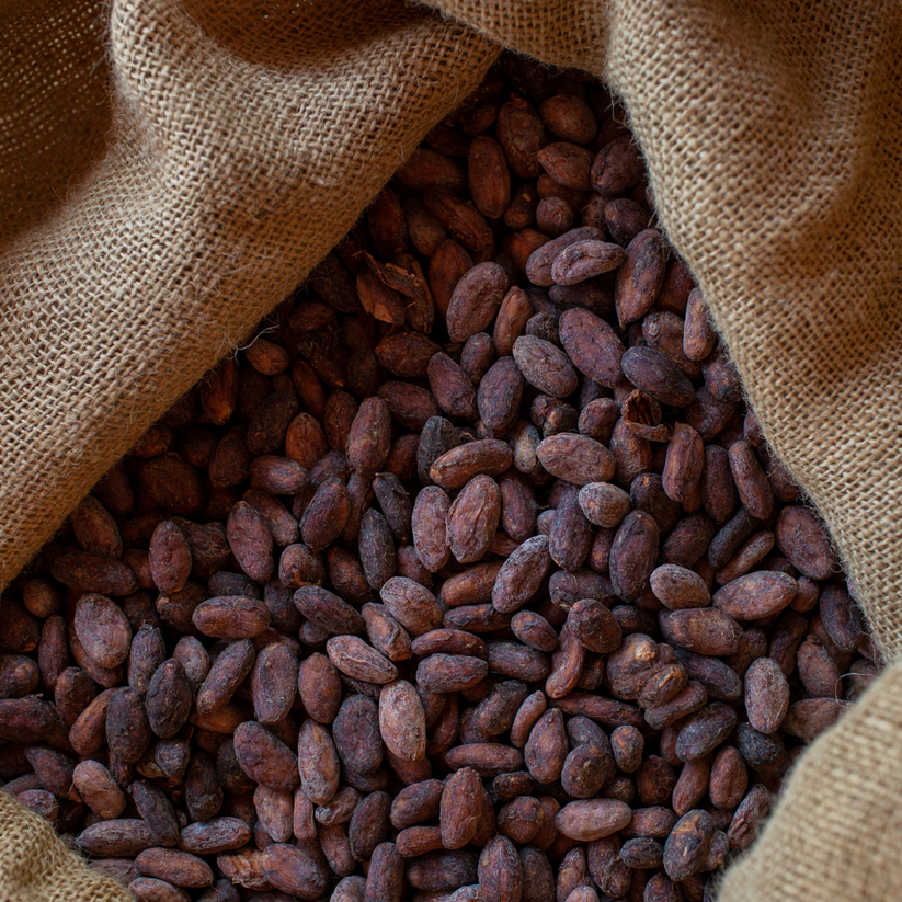 Hacienda Macondo - Raw Cacao Beans - Ecuadorian Cacao Single Estate ...