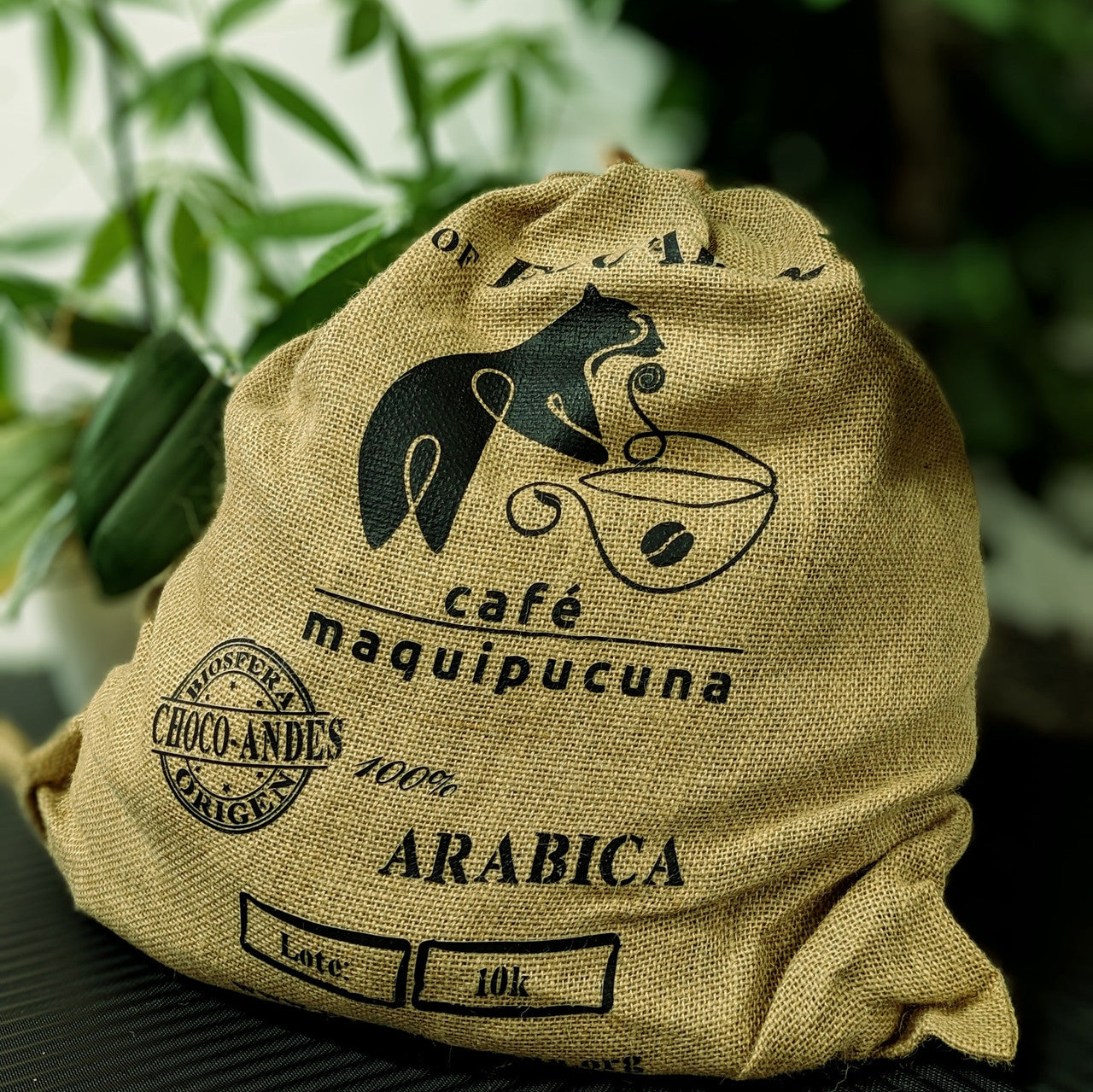 MAQUIPUCUNA Cloud Forest- Specialty Green Coffee Beans