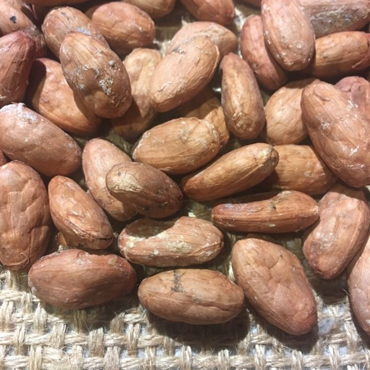 Hacienda San Jose Raw Cacao Beans - Ecuadorian Single Plantation