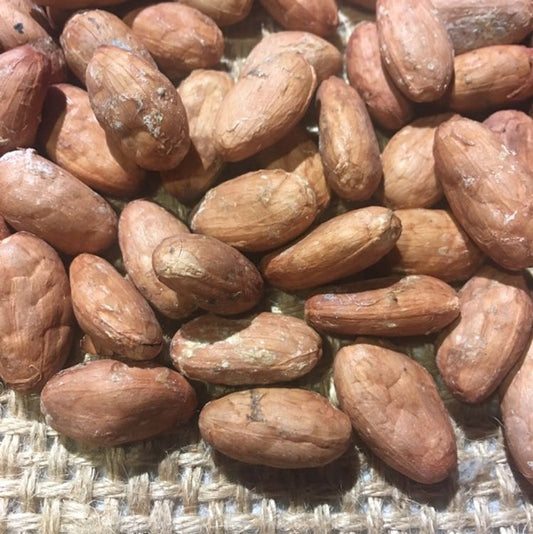 Hacienda San Jose Raw Cacao Beans - Ecuadorian Single Plantation